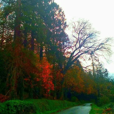 Casa O Furco 아파트 *