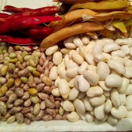 Casa O Furco * פוז