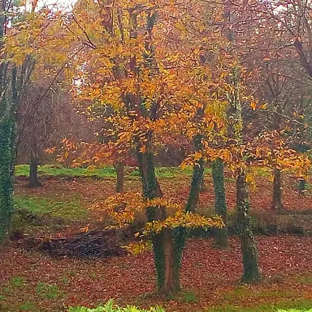 아파트 Casa O Furco 포스