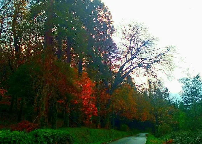 Casa O Furco Апартаменты *